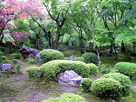 園光寺1_e0048413_17234829.jpg