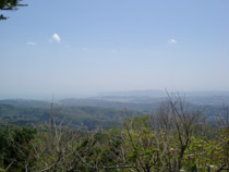 a0031714_17454896.jpg