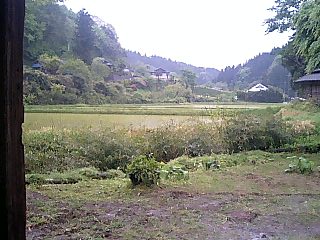 e0000847_14802.jpg