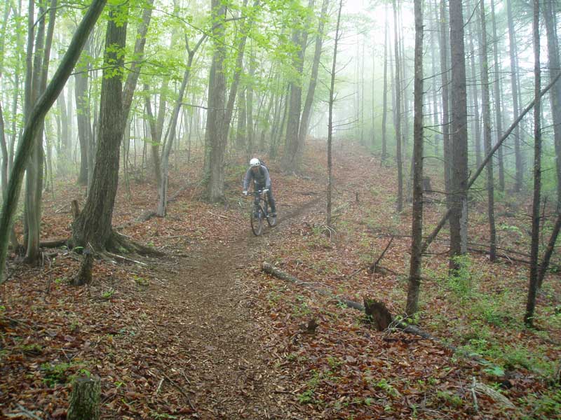 自転車(MTB)での鹿倉山ツーリング_d0014748_20311427.jpg