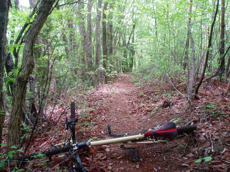 自転車(MTB)での鹿倉山ツーリング_d0014748_20395967.jpg