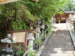 名張の新町河原からまた茶臼山に挑戦！_d0048350_19412061.jpg