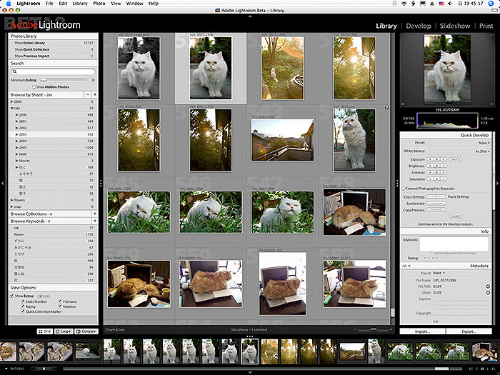 Lightroom 005(@Beta)_f0075955_23595829.jpg