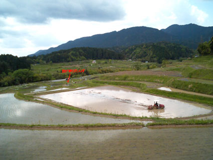 仰木で、棚田オーナーデビューしました！_e0051560_1904979.jpg