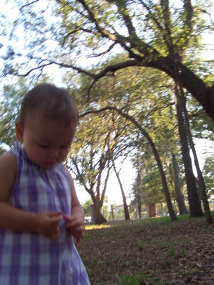 e0028272_822615.jpg
