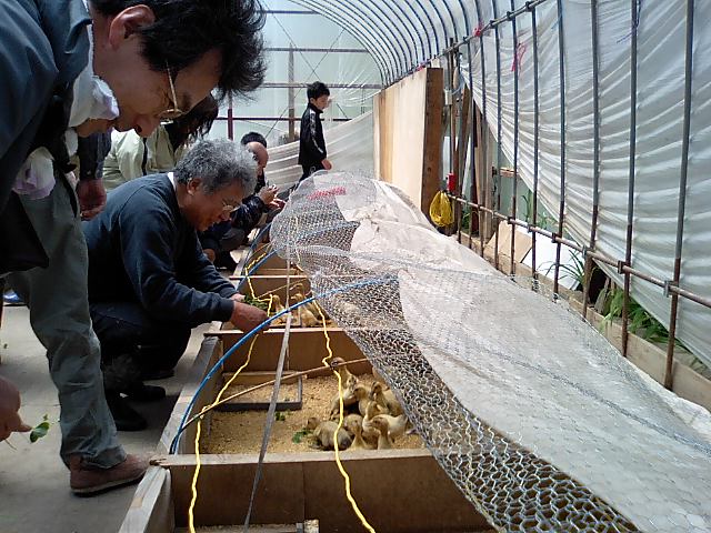農楽塾 田植え_d0027486_19153128.jpg