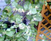 d0030693_14261253.jpg