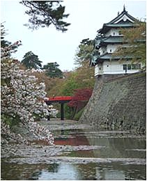 現在地→弘前公園_b0067302_158644.jpg
