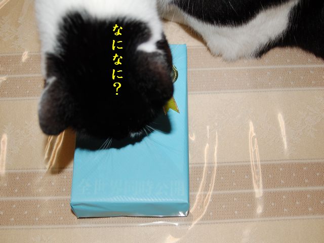 e0094407_010305.jpg