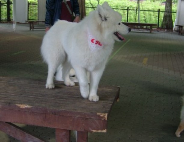 e0024126_96619.jpg