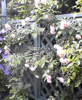 c0018037_14564720.jpg