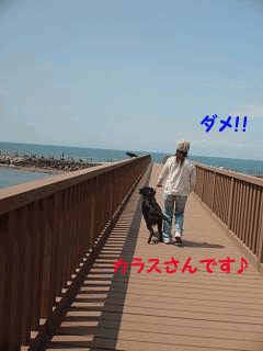 f0018144_14282149.gif
