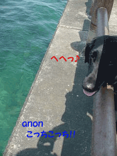 f0018144_14325037.gif