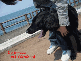 f0018144_1434246.gif