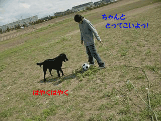 f0018144_14363749.gif
