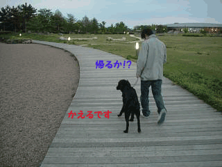 f0018144_1447073.gif