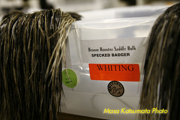 スペックルドバジャー : MAVERICK Blog