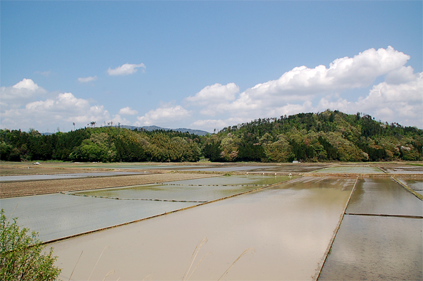 原風景。_a0046364_17221652.jpg