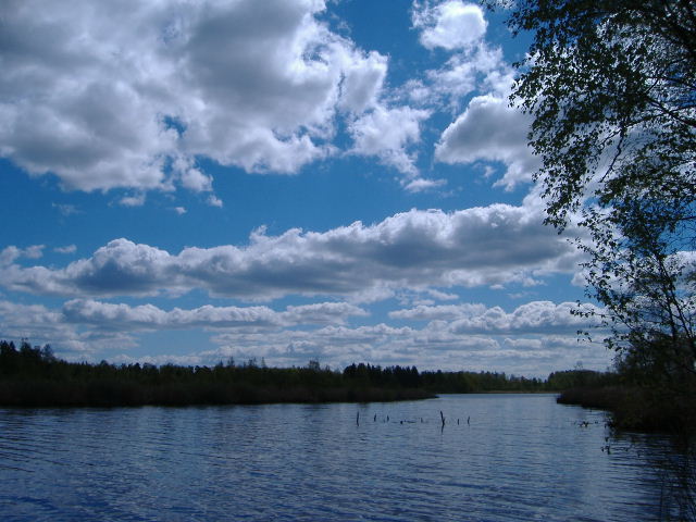 e0064166_5313391.jpg