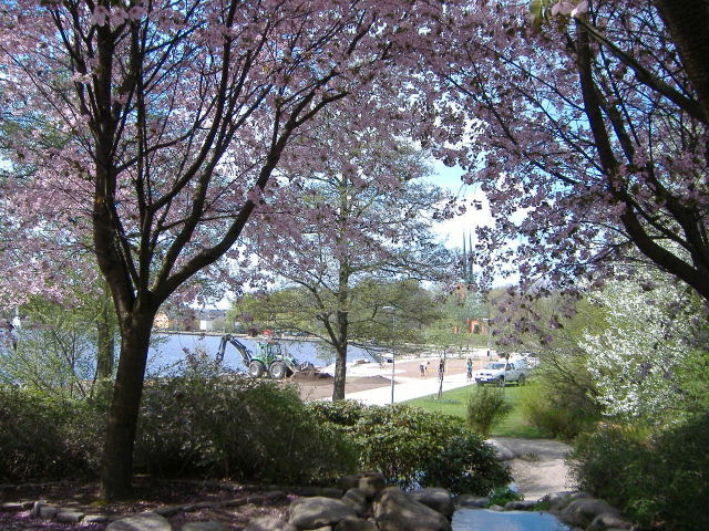 e0064166_534639.jpg