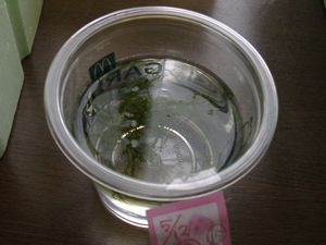 f0065167_022175.jpg