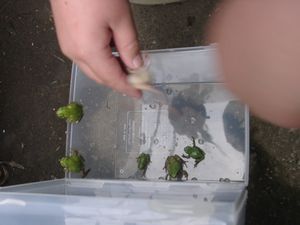 f0065167_0245076.jpg