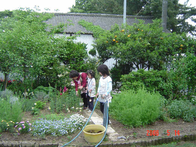 d0007071_20401258.jpg