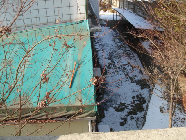 f0091590_34154.jpg