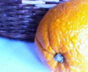 Morning _b0079097_19403.jpg