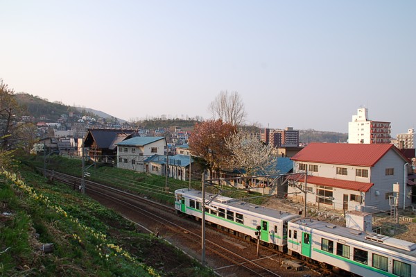 今日も桜と電車です_d0029505_133449.jpg