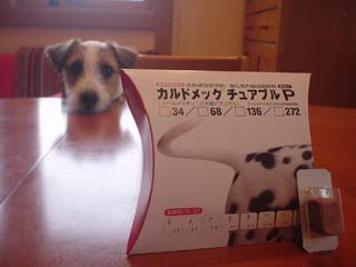 f0080105_18258100.jpg