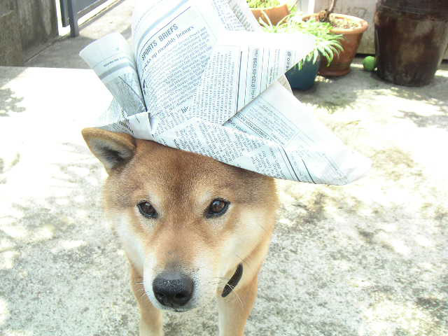 c0066906_23293292.jpg
