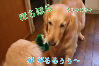 e0072606_14391376.jpg