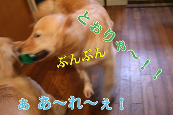 e0072606_1439439.jpg