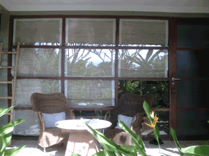 d0038319_921021.gif