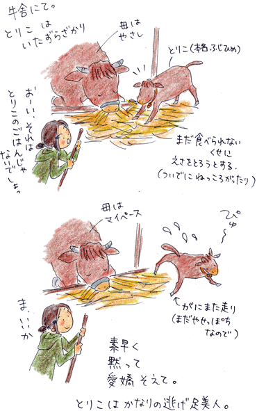 b0015222_2157224.gif