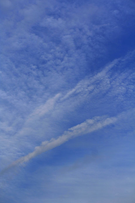 つかの間の青い空_b0023523_02515.jpg