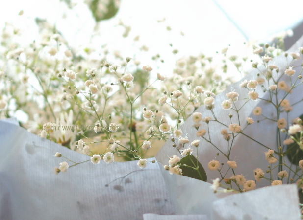 チェアフラワー　新郎新婦さまの椅子につける花_a0042928_2561919.jpg