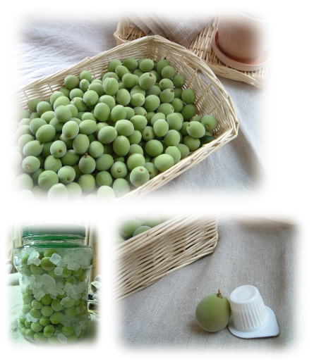 丸底の小物入れ♪5種_f0023333_8162727.jpg