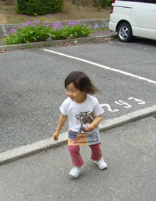 土佐犬Tシャツ_e0035344_1094339.jpg