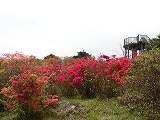 d0048350_19383920.jpg