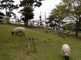 d0048350_194842100.jpg