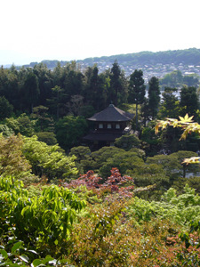 京都  ＜和み編＞_d0048577_14163941.jpg