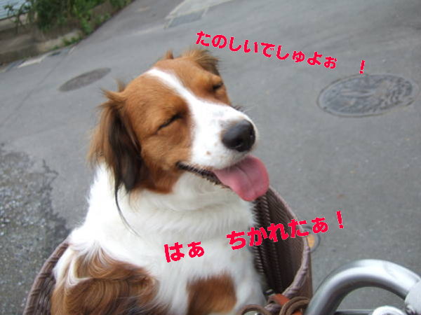 c0075585_0124988.jpg