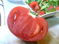 b0078288_23283813.jpg