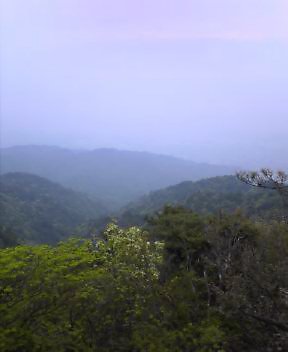 b0072199_21504236.jpg