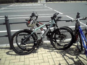 a0006605_1815431.gif