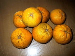 a0006605_188534.gif
