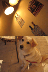 d0014408_15555410.gif