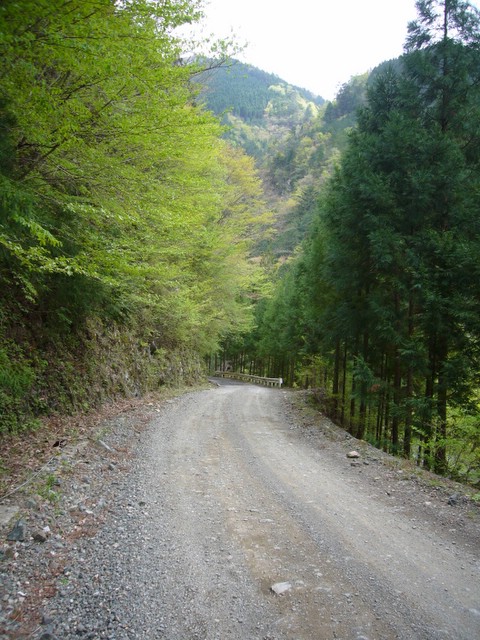 四国野宿ツーリング～佐多岬・道後温泉・剣山スーパー林道_d0046316_1371676.jpg